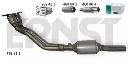 ernst-752817