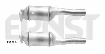 ernst-753029