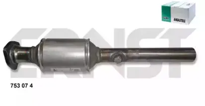 ernst-753074