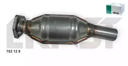 ernst-753128