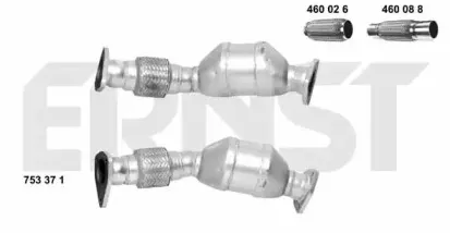 ernst-753371