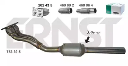 ernst-753395