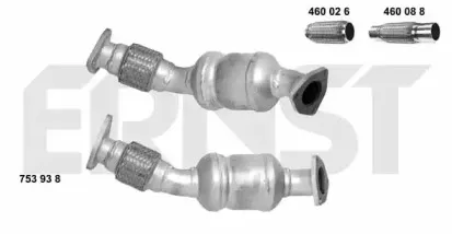 ernst-753938