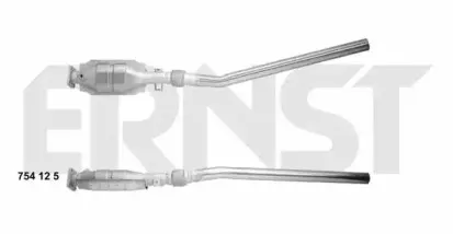 ernst-754125