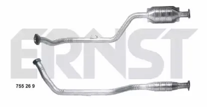 ernst-755269