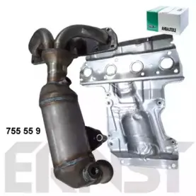 ernst-755559