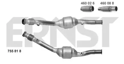 ernst-755818