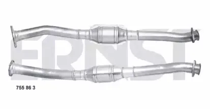ernst-755863
