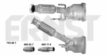 ernst-755887