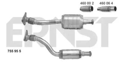 ernst-755955
