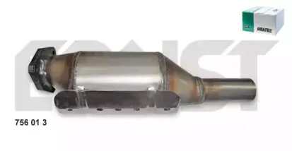 ernst-756013