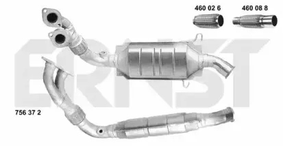 ernst-756372