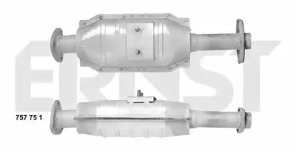 ernst-757751