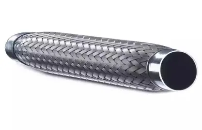 ernst-460293