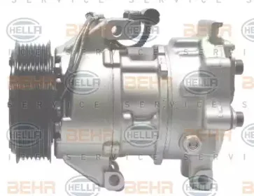 hella-8fk351114621