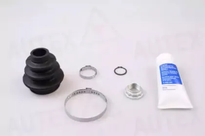 autex-504164