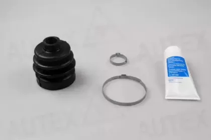 autex-504319