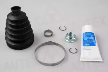 autex-504324