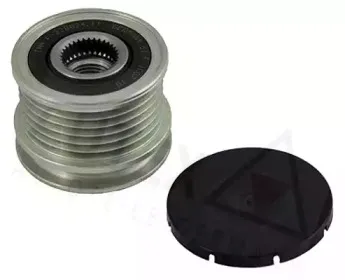 autex-621006