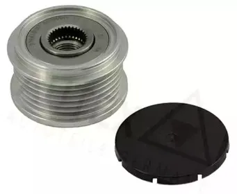 autex-621009