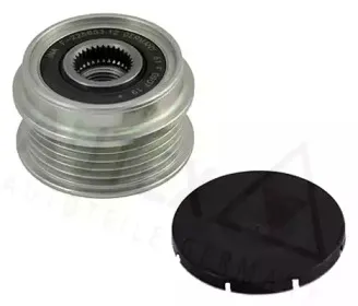 autex-621013