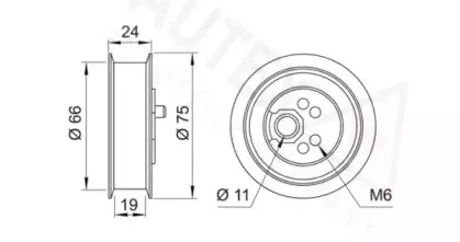 autex-641116