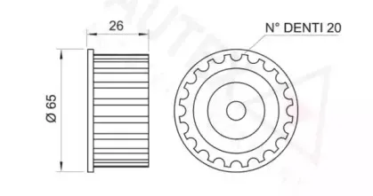 autex-641137