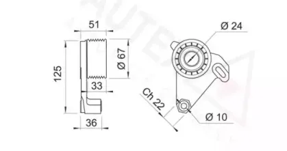 autex-641504