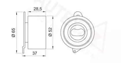 autex-641565