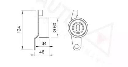 autex-641597