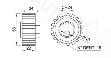 autex-641608