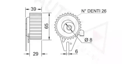 autex-641937