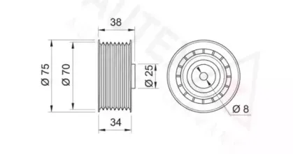 autex-651685