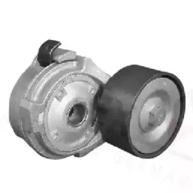 autex-654006