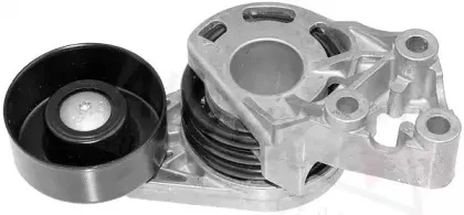 autex-654102