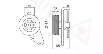 autex-654338