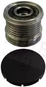 autex-654508