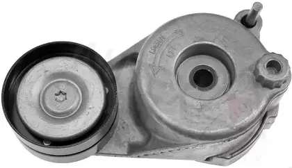 autex-654520
