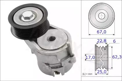autex-654837