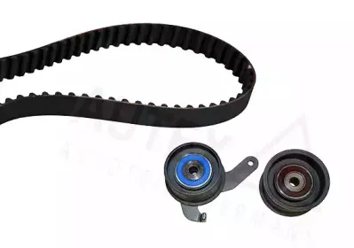 autex-702236