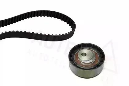 autex-702324