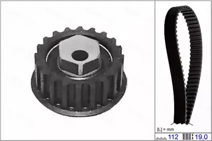 autex-702365