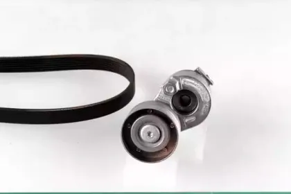 autex-702773