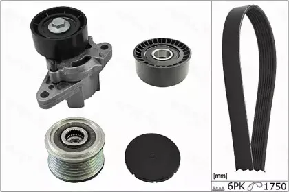 autex-702872