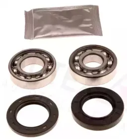 autex-803216