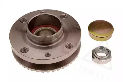 autex-810065