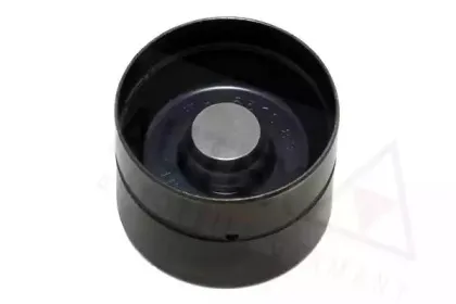 autex-955031