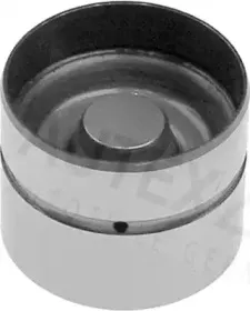 autex-955036