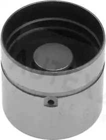 autex-955047