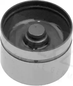 autex-955051